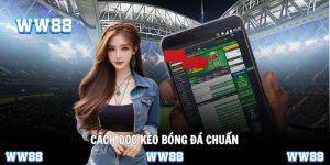 Biến động là chìa khóa để đọc kèo chính xác
