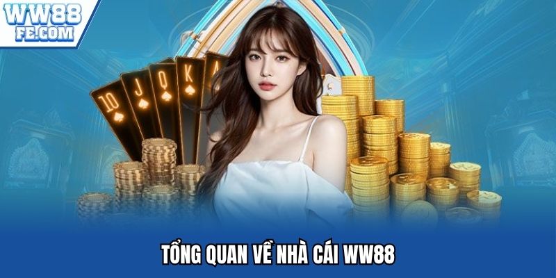 Tổng quan về nhà cái WW88